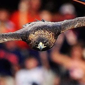 Meet your Posher, Rita